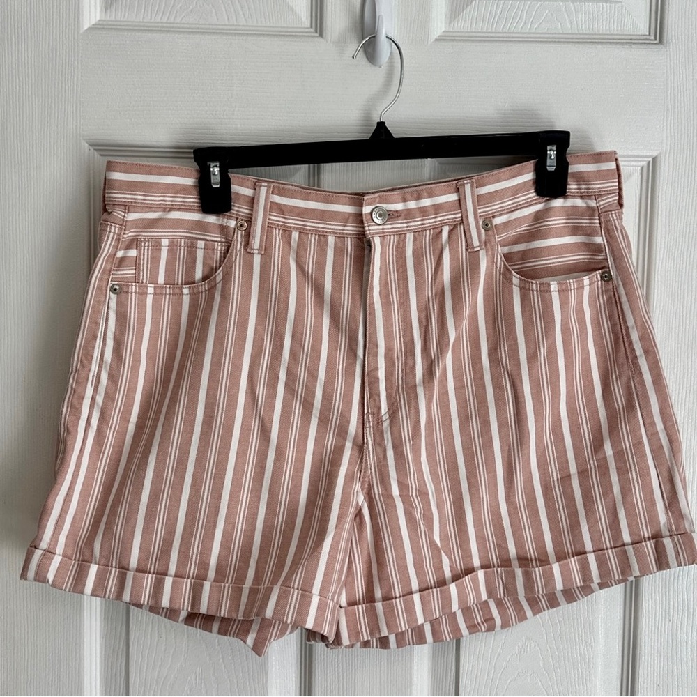 American Eagle Outfitters brounand white vertical striped regular shorts size 18